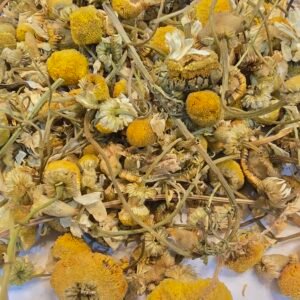 Chamomile